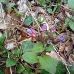 phoca_thumb_m_przkumnci 23 Fotogalerie